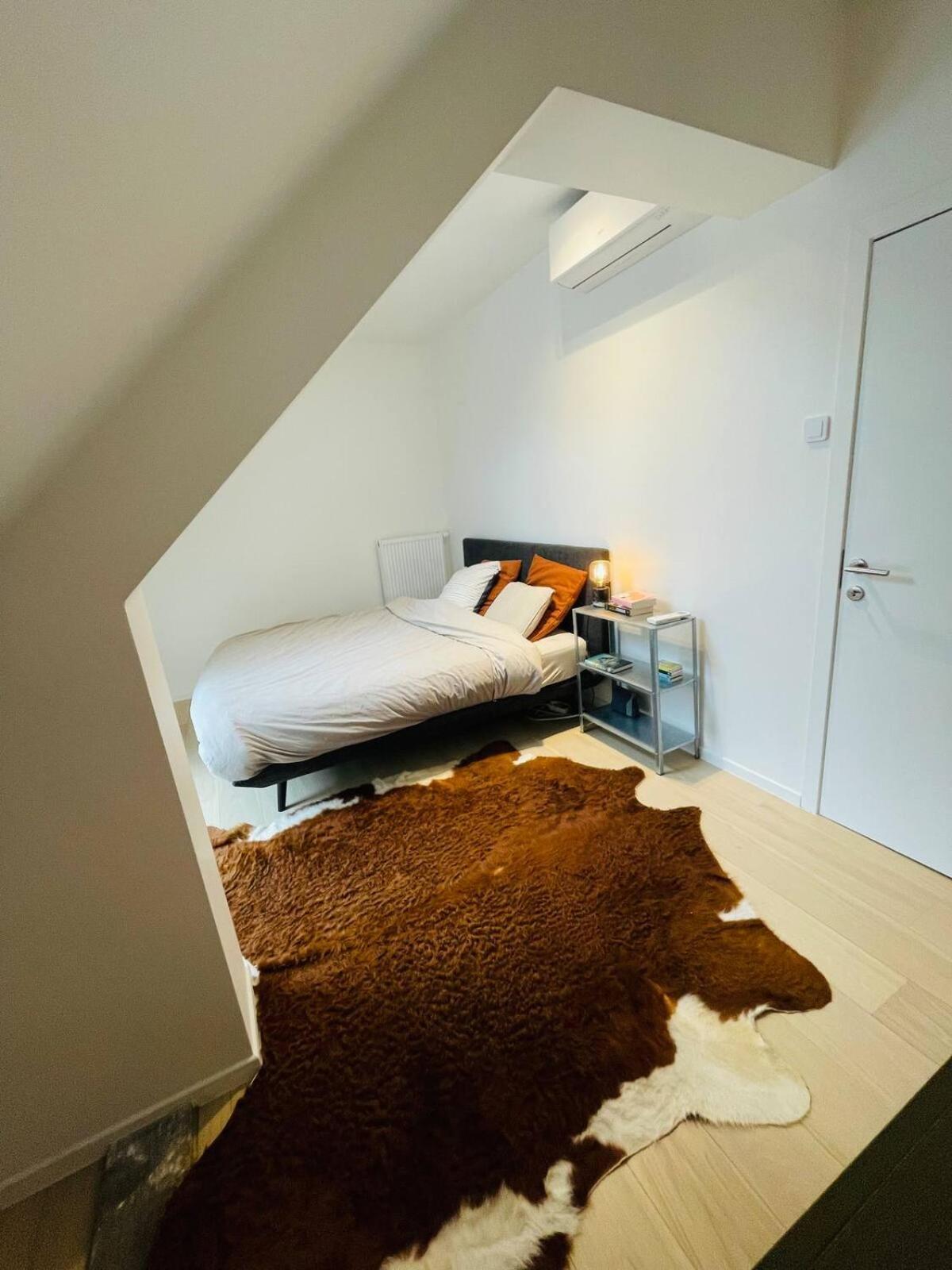 Apartment Lichtrijke Woning Met Tuin Gent