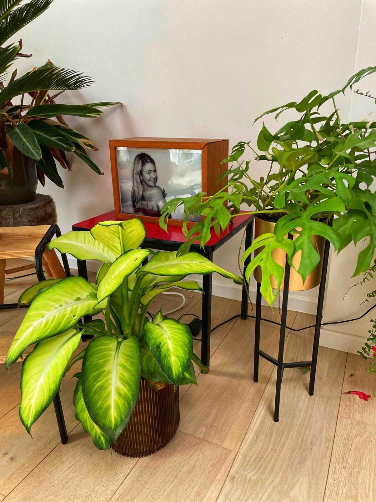 Lichtrijke Woning Met Tuin Apartment *